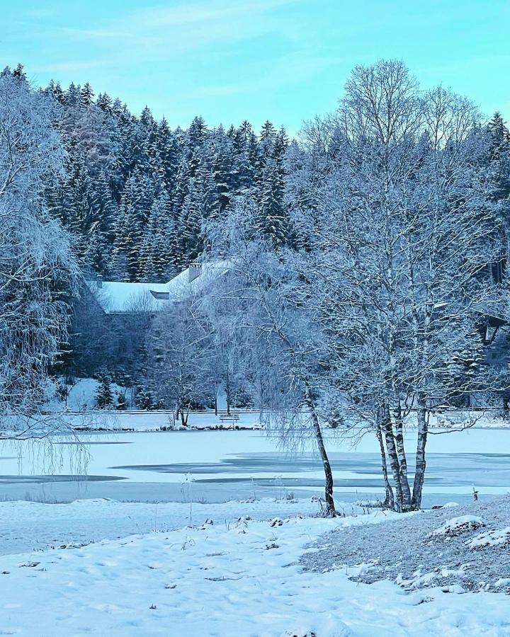 Lakeside Apartments Seefeld Seefeld in Tirol Bagian luar foto